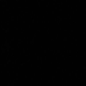 Meet your Posher, Ismael